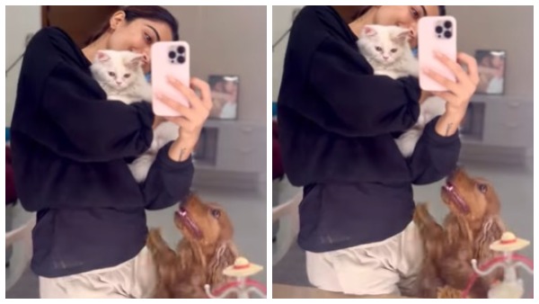 ವಿಡಿಯೋ ಹಂಚಿಕೊಂಡಿರುವ ರಶ್ಮಿಕಾ