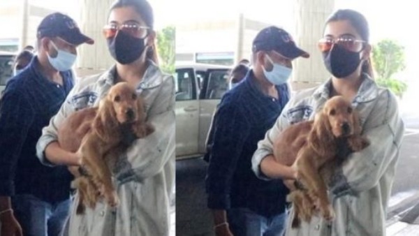 ಶ್ವಾನ ಪ್ರೇಮಿ ರಶ್ಮಿಕಾ ಮಂದಣ್ಣ