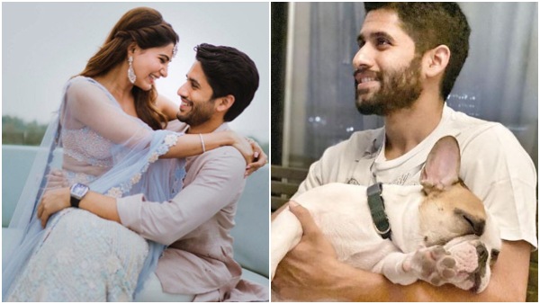 ಸಮಂತಾಗೆ ಥ್ಯಾಂಕ್‌ ಯೂ ಹೇಳಿದ್ರಾ ನಾಗ್? 