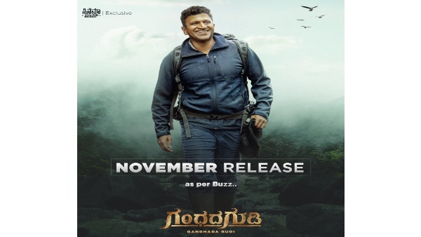 ಕನ್ನಡ ರಾಜ್ಯೋತ್ಸವಕ್ಕೆ ರಿಲೀಸ್ ಆಗ್ಬೇಕಿತ್ತು!