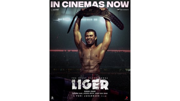 ಹಿಂದಿಯಲ್ಲಿ 5 ಕೋಟಿ ರೂ. ಗಳಿಕೆ!