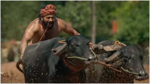 ಧೂಳೆಬ್ಬಿಸಿದ 'ಕಾಂತಾರ' ಟ್ರೈಲರ್ ಧೂಳೆಬ್ಬಿಸಿದ 'ಕಾಂತಾರ' ಟ್ರೈಲರ್