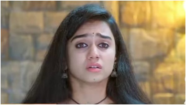 ಹೂವಿ ಪರ ನಿಲ್ಲುತ್ತಾನಾ ರಾಹುಲ್? ಹೂವಿ ಪರ ನಿಲ್ಲುತ್ತಾನಾ ರಾಹುಲ್?