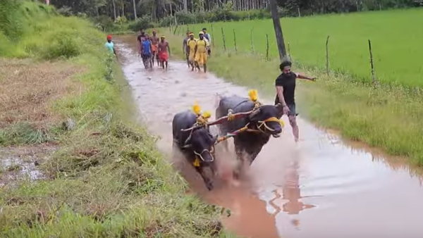 ಪ್ರಕೃತಿ-ಮನುಷ್ಯರ ನಡುವಿನ ಸಂಘರ್ಷ ಚಿತ್ರದ ತಿರುಳು
