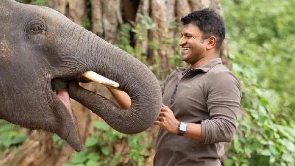 ಥ್ರಿಲ್ಲಿಂಗ್ ಅಂಶಗಳೂ ಇವೆ