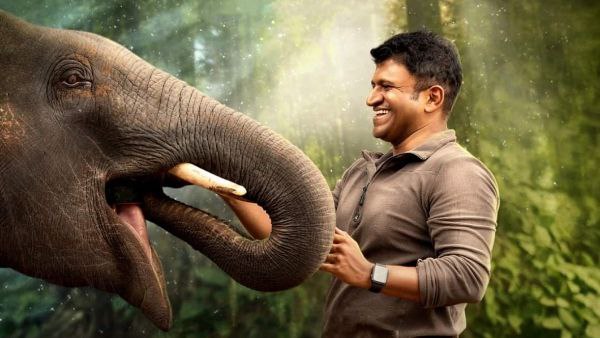 ಮೂರು ದಿನಗಳ ಒಟ್ಟು ಕಲೆಕ್ಷನ್ ಎಷ್ಟು? ಮೂರು ದಿನಗಳ ಒಟ್ಟು ಕಲೆಕ್ಷನ್ ಎಷ್ಟು?