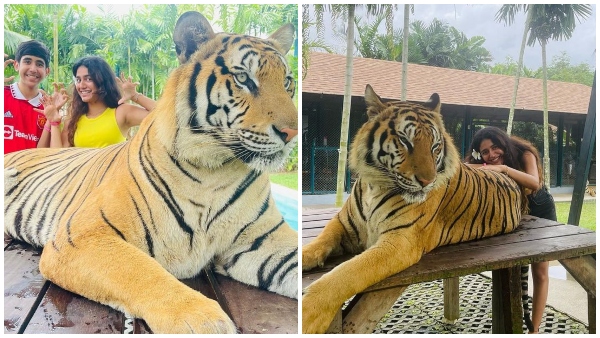 ಹುಲಿ ಜೊತೆ ಕಣ್ಸನ್ನೆ ಹುಡುಗಿ ಪೋಸ್ ಹುಲಿ ಜೊತೆ ಕಣ್ಸನ್ನೆ ಹುಡುಗಿ ಪೋಸ್