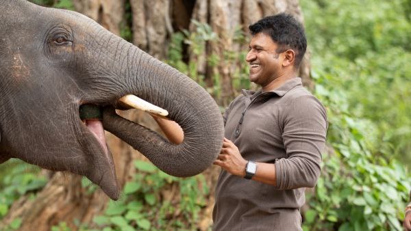  ಹತ್ತು ಗಂಟೆಯೊಳಗೆ ಬರೋಬ್ಬರಿ 50 ಪ್ರದರ್ಶನ! 