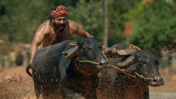 ಲೋ ಬಜೆಟ್ ಚಿತ್ರ ಮಾಡಿ ಹತ್ತಿಪ್ಪತ್ತು ಕೋಟಿ ದುಡೀತಾರೆ ಅಂತಿದ್ರು! 