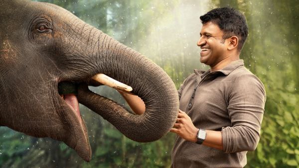 ಅಪ್ಪು ನಟಿಸದಿರಲು ಕಾರಣ?