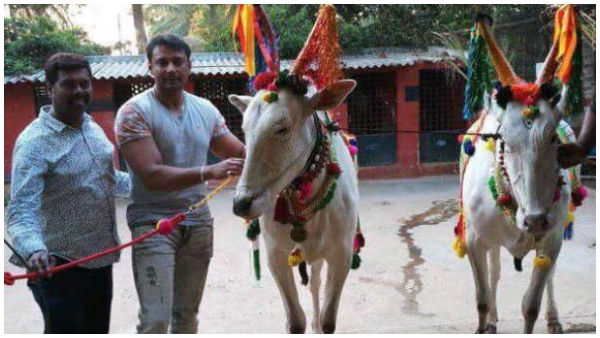 ರೈತರಿಗೆ ಸಿಂಪಥಿ ಬೇಡ ರೈತರಿಗೆ ಸಿಂಪಥಿ ಬೇಡ
