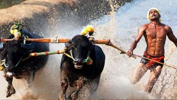 'ಬಿರ್ದ್ ದ ಕಂಬುಲ' ಸಿನಿಮಾ 'ಬಿರ್ದ್ ದ ಕಂಬುಲ' ಸಿನಿಮಾ