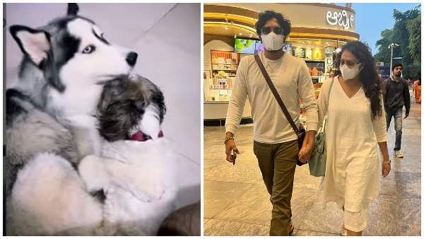 ಇಬ್ಬರ ಪ್ರೀತಿ ಶುರುವಾಗಿದ್ದು ಯಾವಾಗ? 