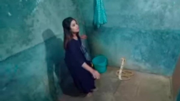 ಚಾರುಳನ್ನು ಅಡ್ಡಗಟ್ಟಿದ ಹಾವು