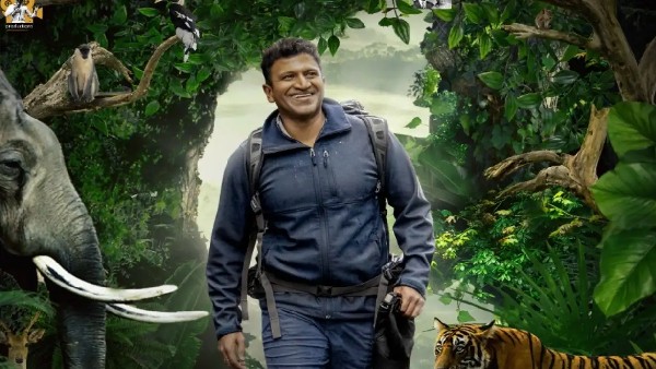 2022 ರಲ್ಲಿ ಹಿಟ್ ಆದ ಸಿನಿಮಾಗಳ್ಯಾವುವು?