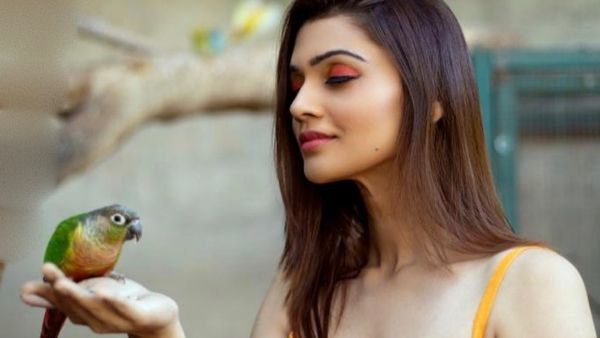 ಕ್ರಾಂತಿ ಅವಕಾಶ ಸಿಕ್ಕಿದ್ದು ಹೇಗೆ? ಕ್ರಾಂತಿ ಅವಕಾಶ ಸಿಕ್ಕಿದ್ದು ಹೇಗೆ?