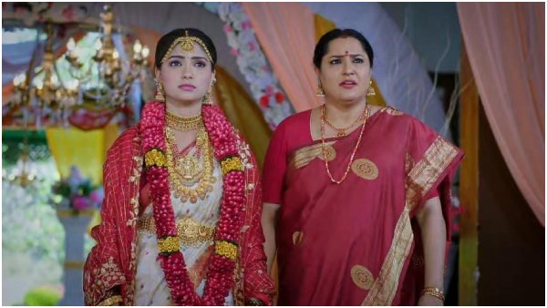 ಮತ್ತೆ ಸುಳ್ಳಲ್ಲಿ ಸಿಕ್ಕಿ ಬಿದ್ದ ಪುಷ್ಪಾ 