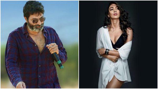 ಹೈದರಾಬಾದ್‌ಗೆ ಪೂಜಾ ಹೆಗ್ಡೆ ಎಂಟ್ರಿ 