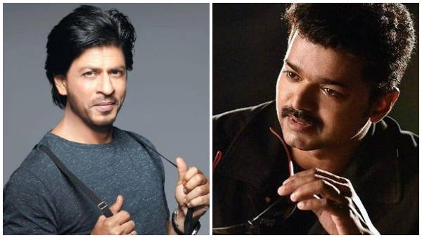 ವಿಜಯ್- ಶಾರುಖ್ ಮಲ್ಟಿಸ್ಟಾರರ್? 