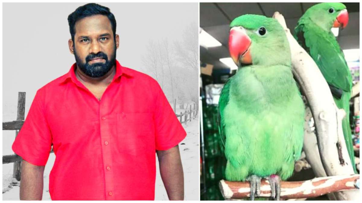  ರೋಬೊ ಶಂಕರ್‌ಗೆ 2.5 ಲಕ್ಷ ದಂಡ