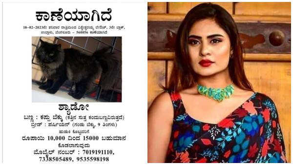 Actress Deepika Das urges to help find her missing pet cat 