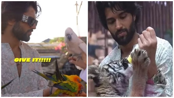 ರಶ್ಮಿಕಾ ಮಂದಣ್ಣ ಎಲ್ಲೋದ್ರು? 