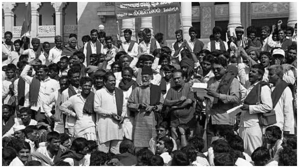 ಹಸಿರು ಶಾಲಿನ ಹರಿಕಾರ 