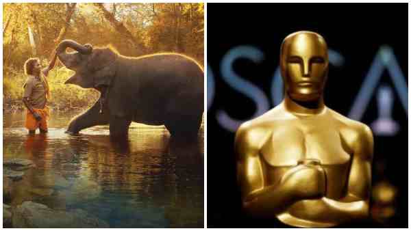 Oscars 2023: Complete winners list for the 95th Academy Awards, Full list of winners 