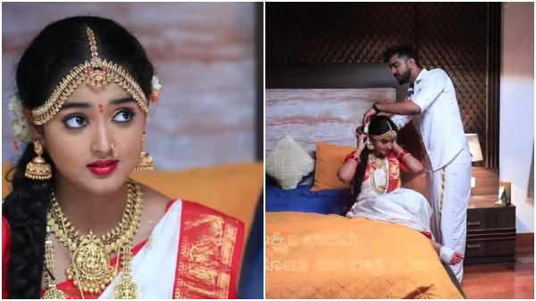 ವೈಷ್ಣವ್ಗೆ ಮುಖ್ಯವಾದಳು ಲಕ್ಷ್ಮೀ ವೈಷ್ಣವ್ಗೆ ಮುಖ್ಯವಾದಳು ಲಕ್ಷ್ಮೀ