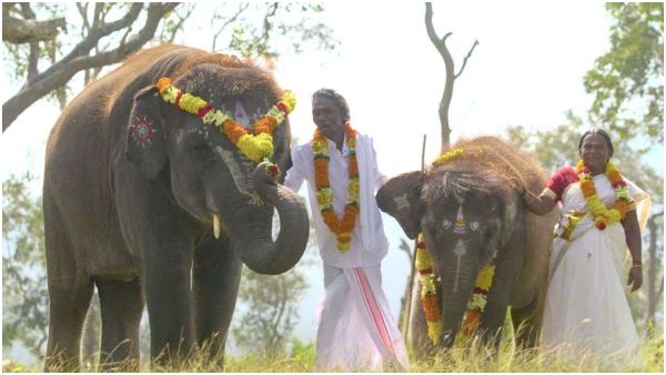 Oscars 2023: Kartiki Gonsalves directed The Elephant Whisperers Won Academy Award for Best Documentary Short