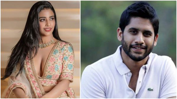 Actress Daksha Nagarkar Revealed Naga Chaitanya Say Sorry If he touched or kissed her Actress Daksha Nagarkar Revealed Naga Chaitanya Say Sorry If he touched or kissed her