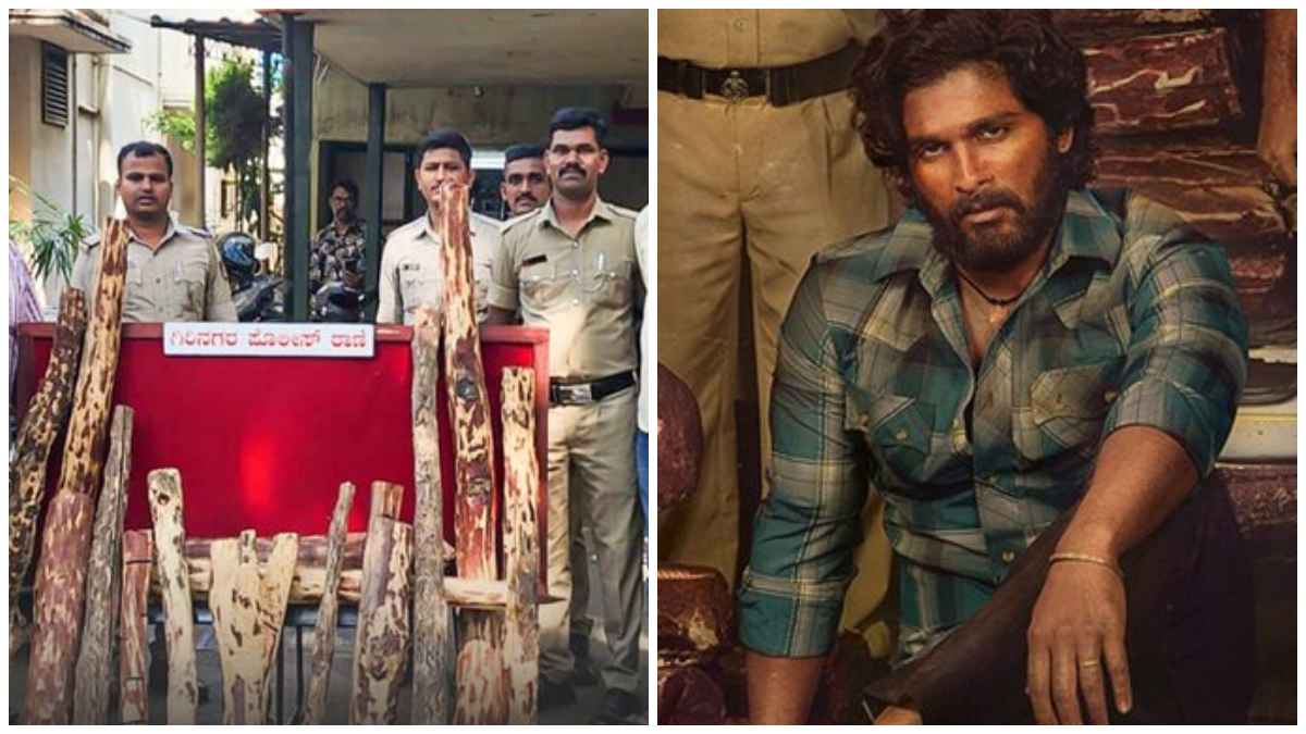 Bangalore Police Challenges Pushpa Raj By Catching 2 Smuggler With 126 Kgs of Red Sandalwood Bangalore Police Challenges Pushpa Raj By Catching 2 Smuggler With 126 Kgs of Red Sandalwood