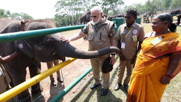 Narendra Modi gave 1 lakh rupees to all elephant caretakers says Elephant whisperers fame Bomman