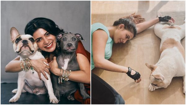 Samanthas Epic Response about Pan India Star: She says I still clean their poop