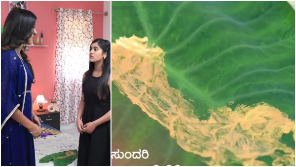 Tripura Sundari serial Written Update on May 30th episode Tripura Sundari serial Written Update on May 30th episode