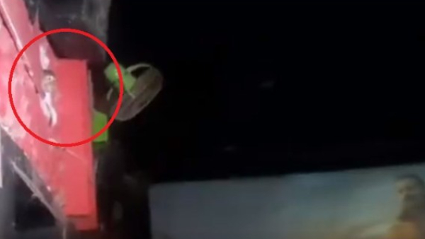 Viral video shows monkey who visits Prabhas Adipurush Screening Theater 