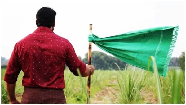 Darshan Starrer Kaatera new shooting schedule begins in Bengaluru 