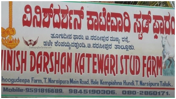 Darshan Starrer Shastri Completes 18 Years; Know Facts about the Movie 