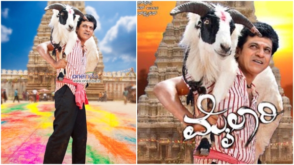 Movies that have goats, sheep in their titles and films have become super hits: What about Toby? Movies that have goats, sheep in their titles and films have become super hits: What about Toby?