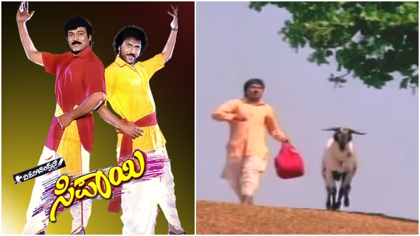 Movies that have goats, sheep in their titles and films have become super hits: What about Toby? Movies that have goats, sheep in their titles and films have become super hits: What about Toby?