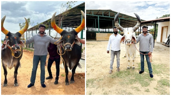 Kaatera Actor Darshan visits Hebbevu Farms located near Penukonda Kaatera Actor Darshan visits Hebbevu Farms located near Penukonda