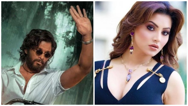 Urvashi Rautela To Perform Item Song In Allu Arjuns Pushpa 2