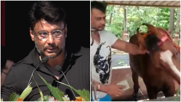 Darshan-horse- riding-tips