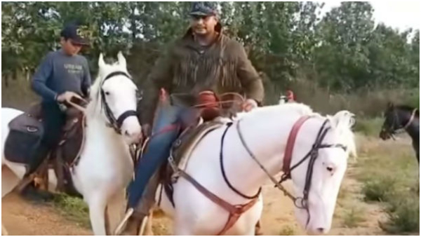 Darshan-nirmalananda-swamiji-Horse