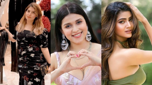 Bigg Boss Hindi 17: Full Confirmed List Of Contestants 