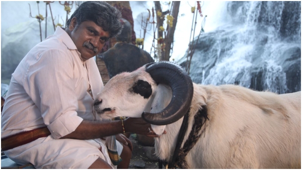 tagaru-palya-review tagaru-palya-review