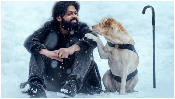 Bigg Boss Kannada: Coach Pramod BC reacts about Charlie dogs BB House entry delay Bigg Boss Kannada: Coach Pramod BC reacts about Charlie dogs BB House entry delay