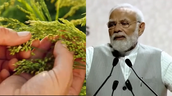 Abundance in Millets: PM Narendra Modi Nominated For Grammy Award