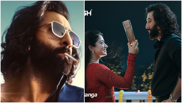 Ranbir Kapoor movie Animal box office day 1 prediction is Rs 75 crore Trade Expert Ranbir Kapoor movie Animal box office day 1 prediction is Rs 75 crore Trade Expert