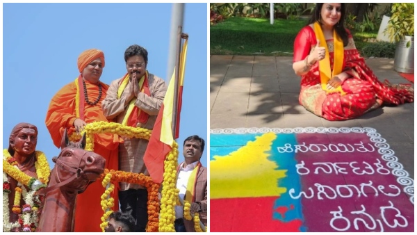 Darshan, Sudeep, Ramya and more sandalwood celebs pour in wishes on Kannada Rajyotsava
